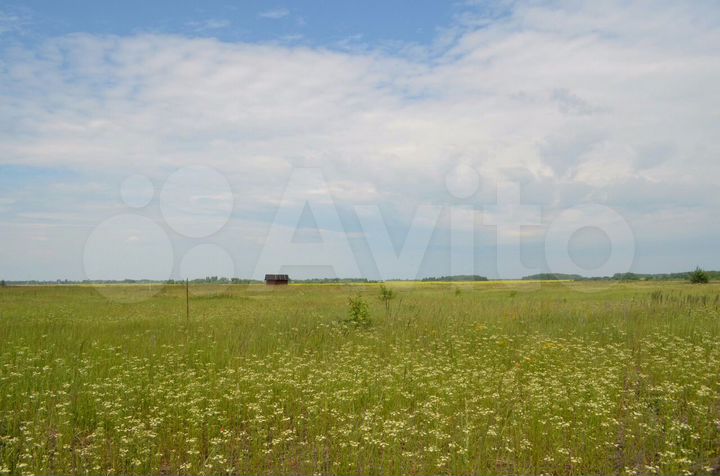 Участок 15 сот. (ИЖС)