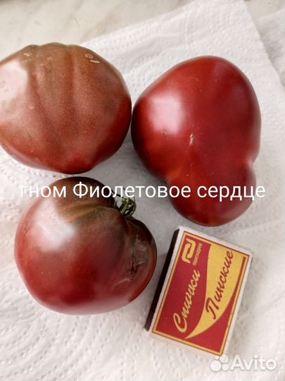 Семена томата гном Фиолетовое сердце