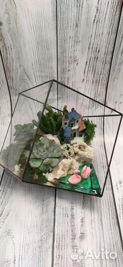 Флорариум, подарок, цветы