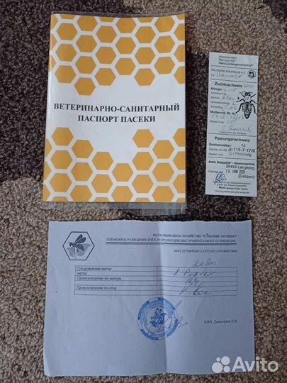 Пчеломатки карника 2024г