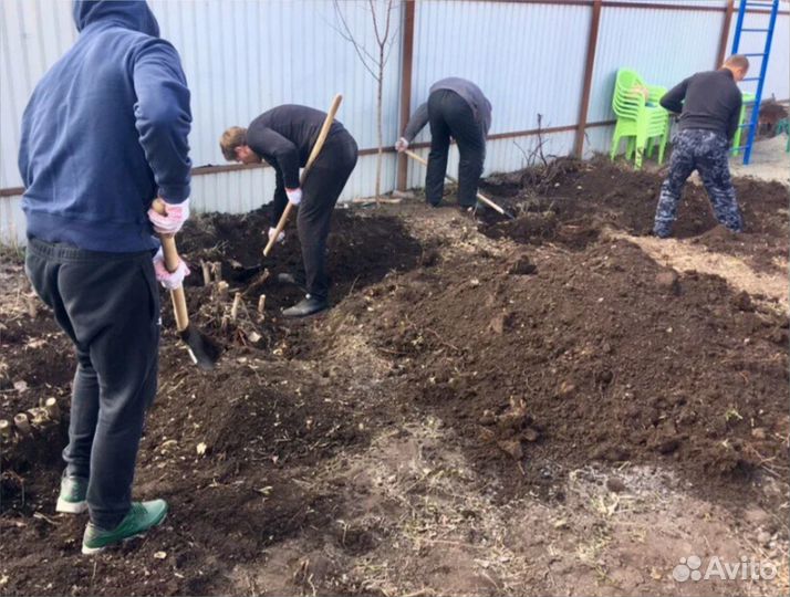 Копка огорода / Покос травы / Помощь по хозяйству