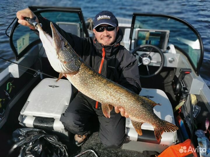 Рыбалка с гидом. Рыбалка на хищника
