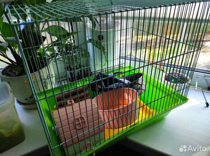 Клетка для грызунов бу