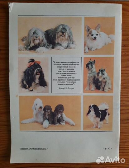 Книги: Постеры 