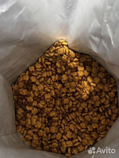 Сухой корм для собак