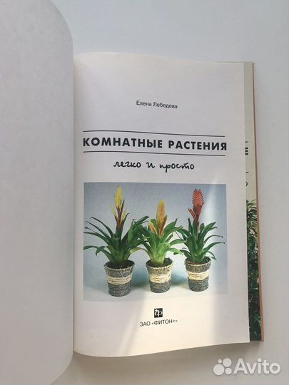 Е.Лебедева «Комнатные растения»