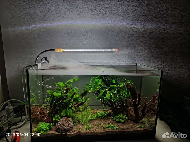 Обслуживание аквариумов и терариумов