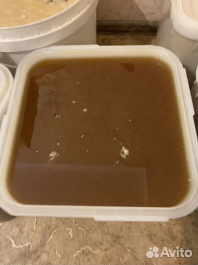 Алтайский Мед с Дягиля лекарственного