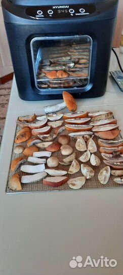 Сушеные грибы