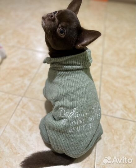 Комбинезон для собаки 30 см