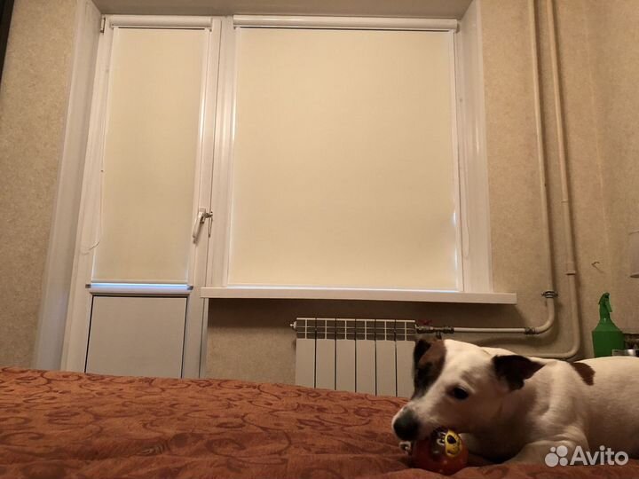 Рулонные шторы уни