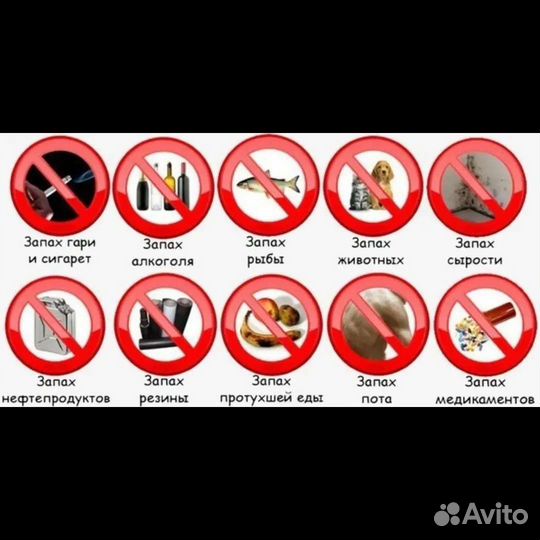 Озонирование помещений и авто