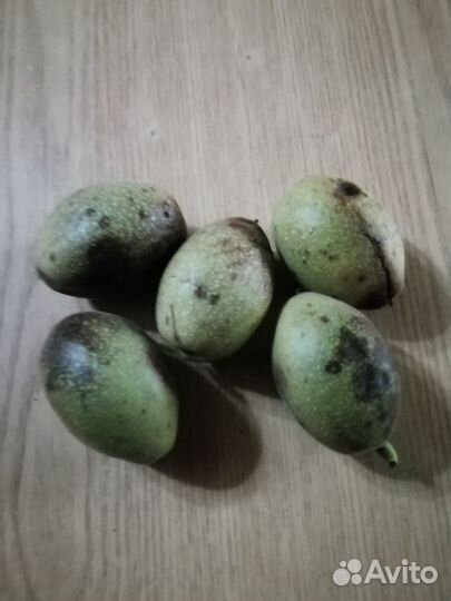 Плоды маньчжурского ореха