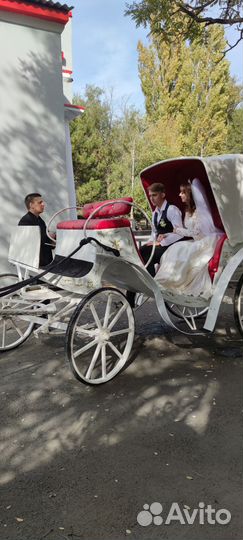Фаэтон для лошади, карета