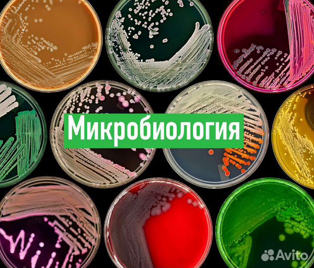 Репетитор по Биологии,Анатомии, Гистологии, Тесты