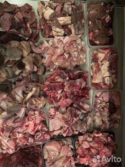 Натуральная еда для собак