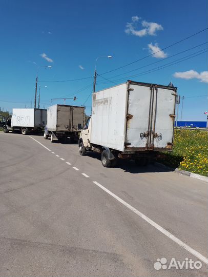 Модель газель