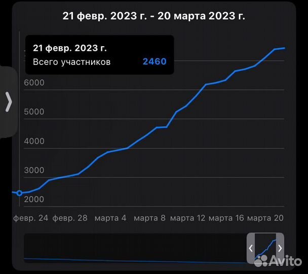 Продвижение Телеграм и Вк. Опытный Таргетолог