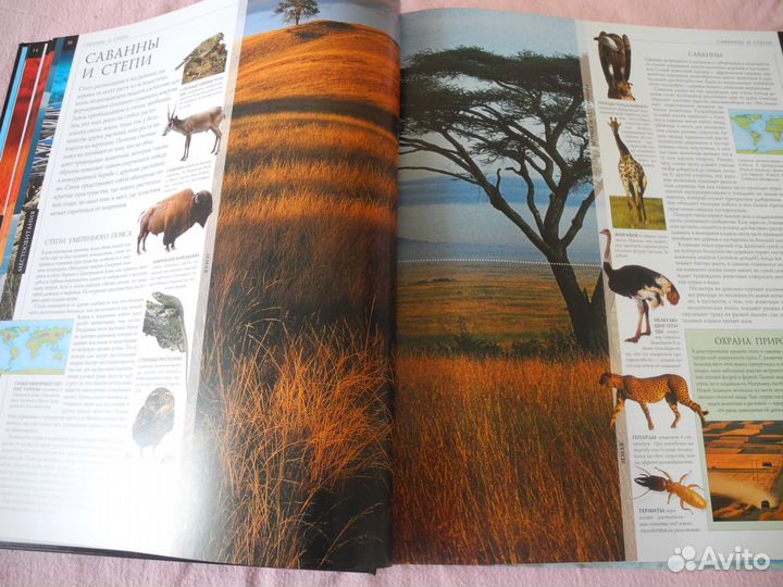 Энциклопедия животных всего мира