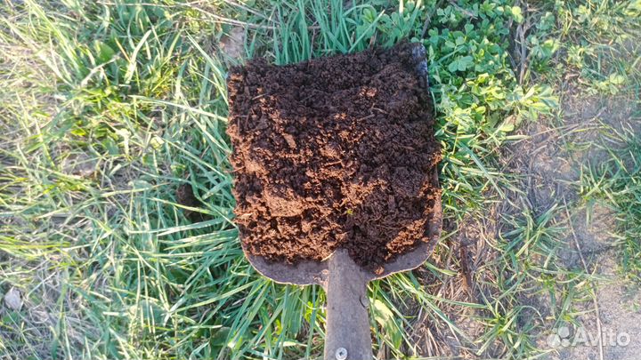 Торф в мешках