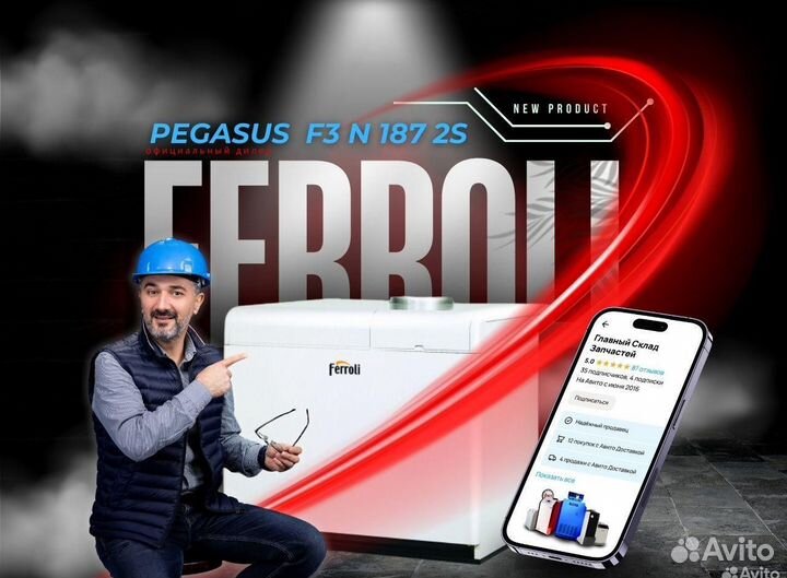 Котел газовый Ferroli Pegasus F3 N 187 2S