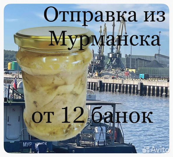 Печень трески. Мурманская