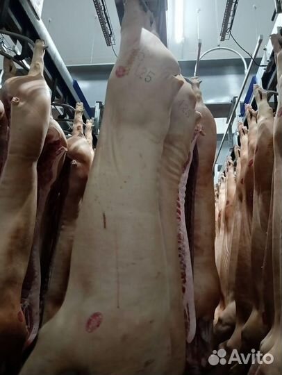 Мясо свинина оптом