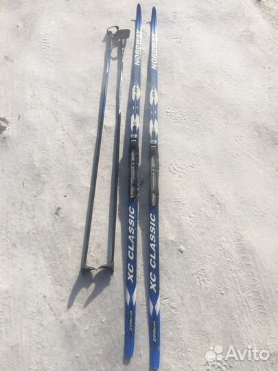 Беговые лыжи