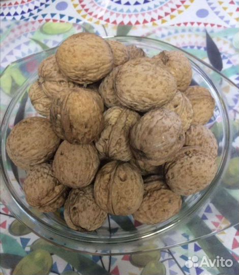 Саженцы грецкого ореха