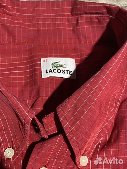 Рубашка мужская lacoste