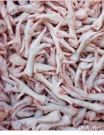 Мясо и фарши для собак