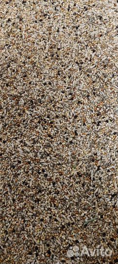 Корм для попугаев