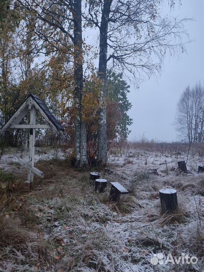 Психолог. Цена договорная