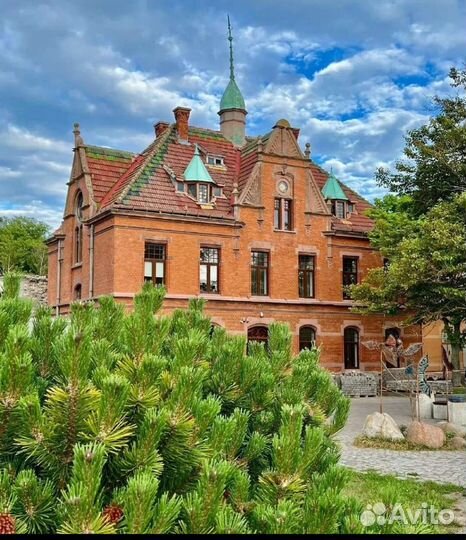 Экскурсии с Гастрономией по области/тур/гид/коса