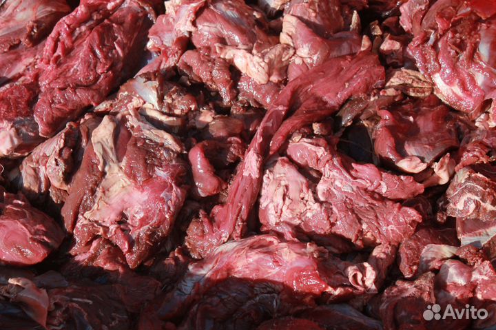 Говяжья обрезь для собак