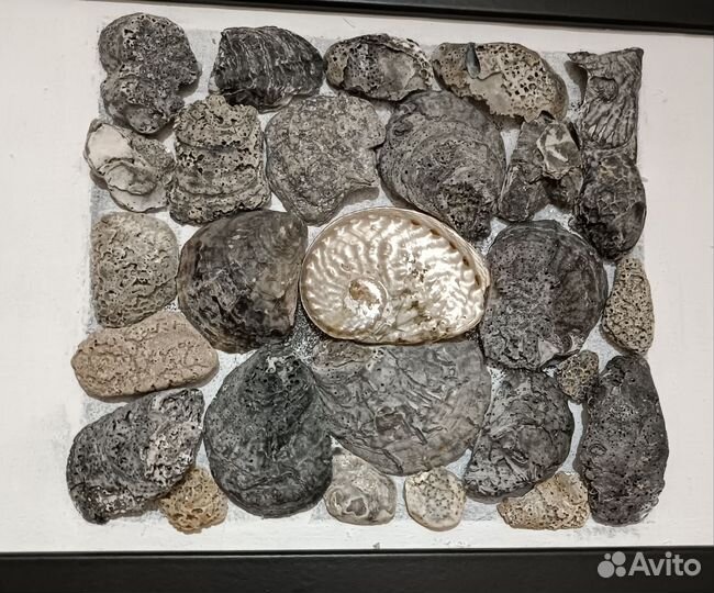 Панно Золотое руно, 21х30 см