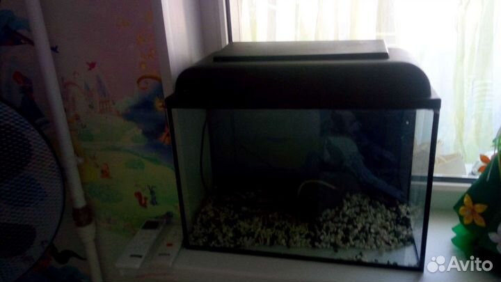 Аквариум с подсветкой,грунтом,фильтром