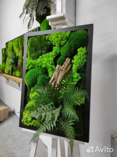 Панно из стабилизированного мха Уфа