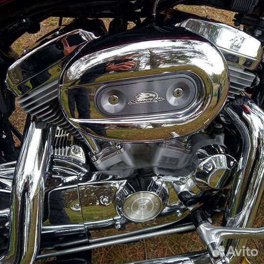 Harley Davidson Sportster custom