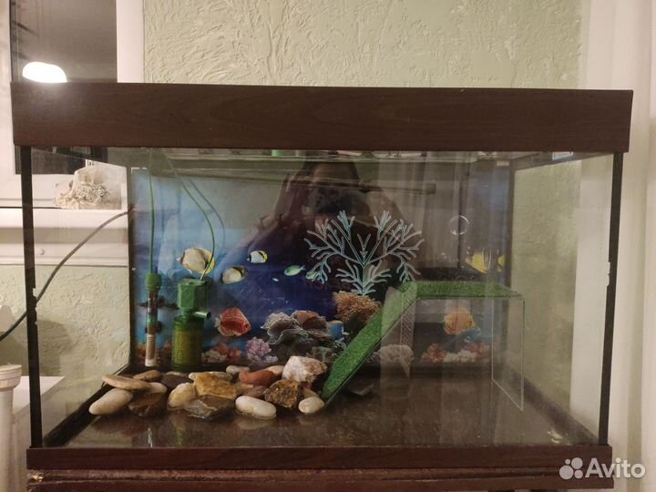 Аквариум