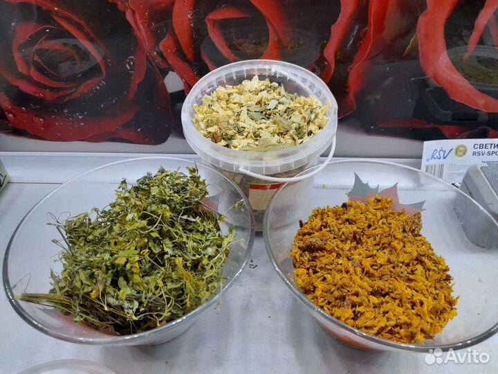 Лекарственные растения