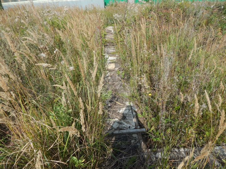 Участок 15 сот. (ИЖС)