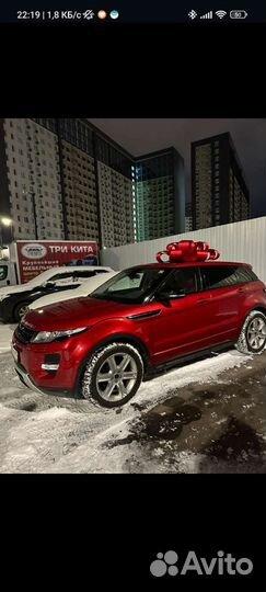 Бант подарочный на машину