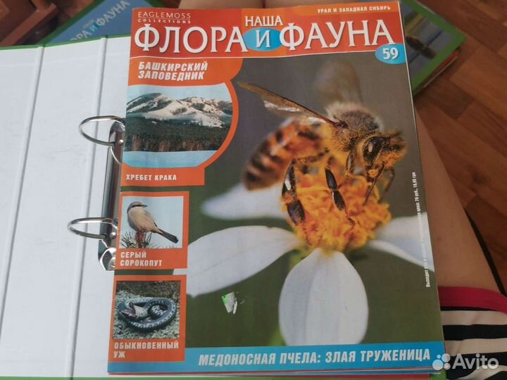 Коллекция книг и журналов