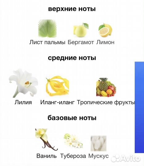 Guerlain aqua allegoria Lys Soleia