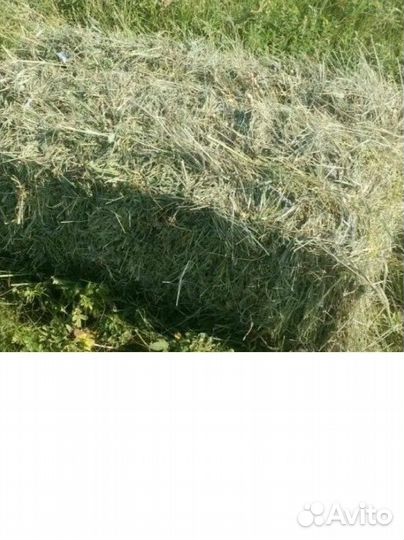 Сено в тюках