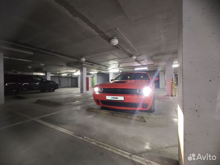 Dodge Challenger 6.4 AT, 2019, 41 000 км