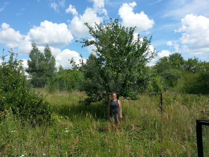 Участок 6 сот. (СНТ, ДНП)