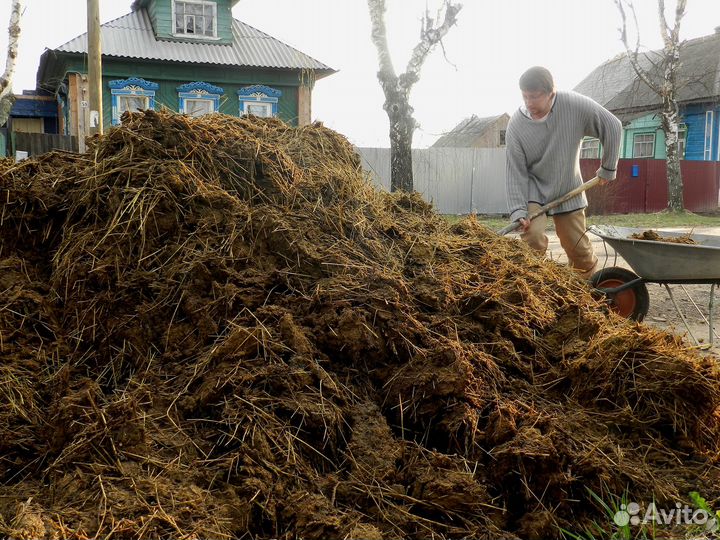 Продам навоз