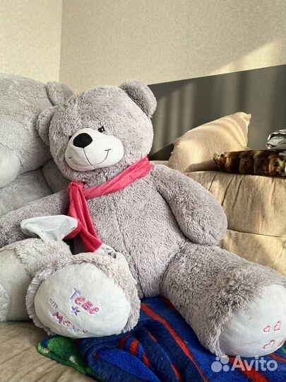 Плюшевый медведь